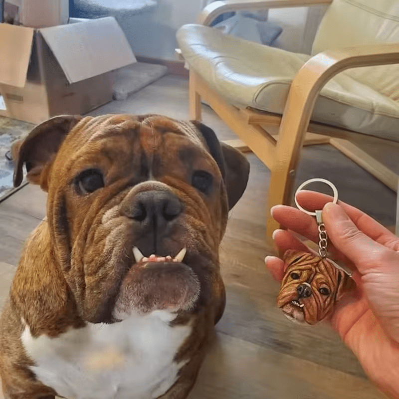 Custom Pet Keychain – Your Pet, Always With You - Bay + Birch
