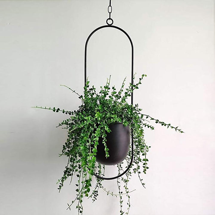 Jet Black Hanging Planter - Luca Mancini