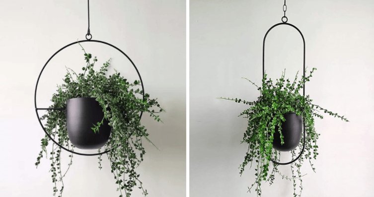 Jet Black Hanging Planter - Luca Mancini
