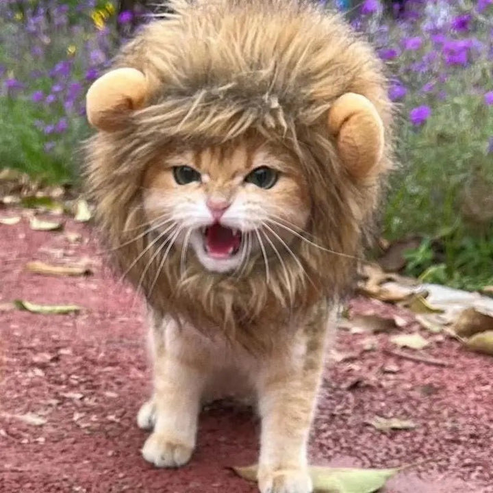 Lion Mane Cat Costume - Luca Mancini
