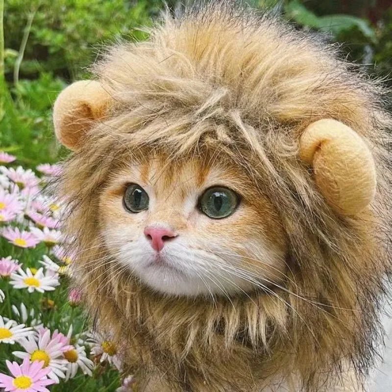 Lion Mane Cat Costume - Luca Mancini