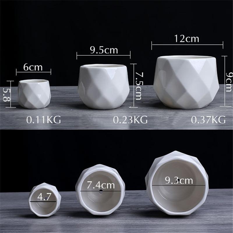 Nordic Plant Pots - Luca Mancini