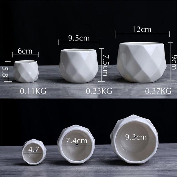 Nordic Plant Pots - Luca Mancini