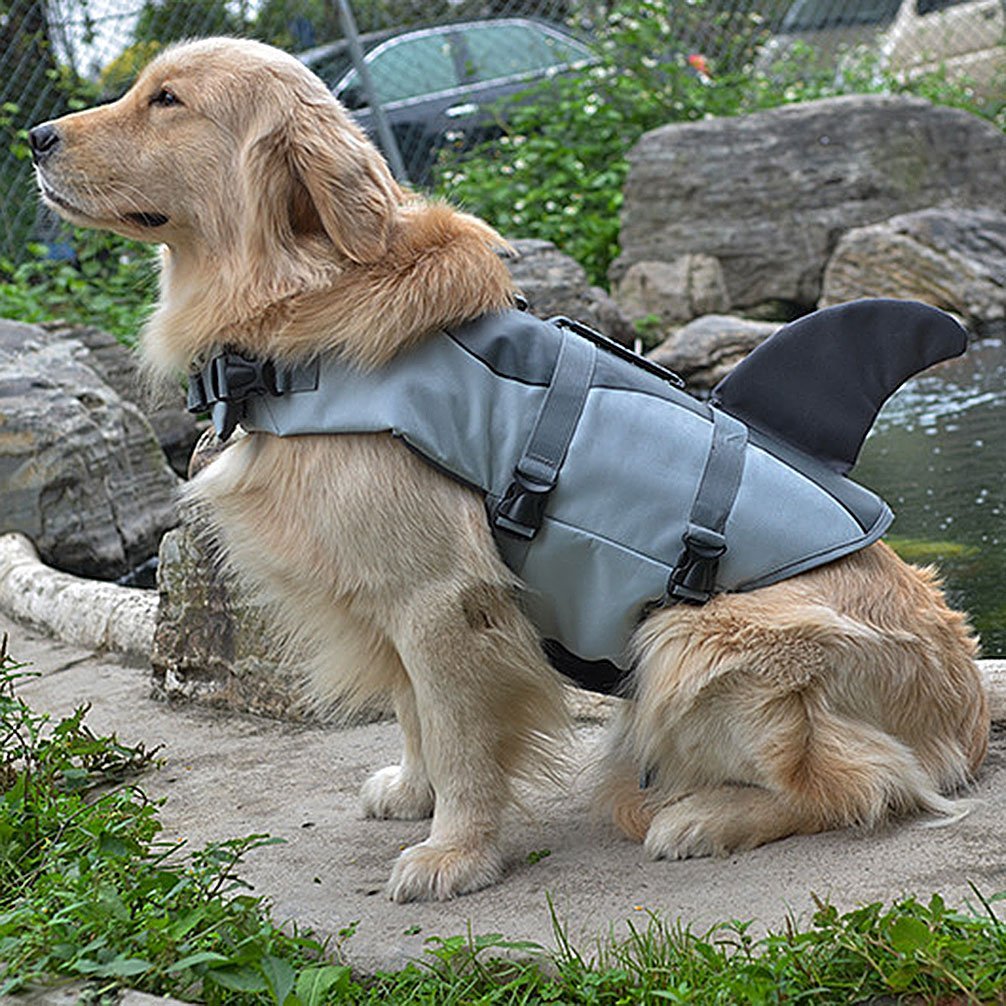 Shark Pup Life Vest - Luca Mancini