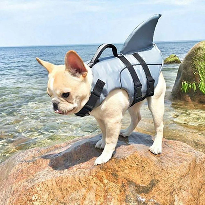 Shark Pup Life Vest - Luca Mancini