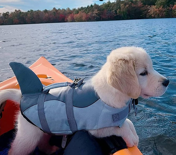 Shark Pup Life Vest - Luca Mancini