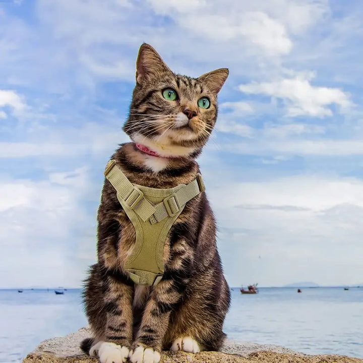 Tactical Rover Cat Harness - Luca Mancini