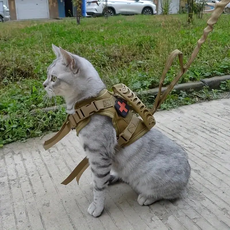Tactical Rover Cat Harness - Luca Mancini